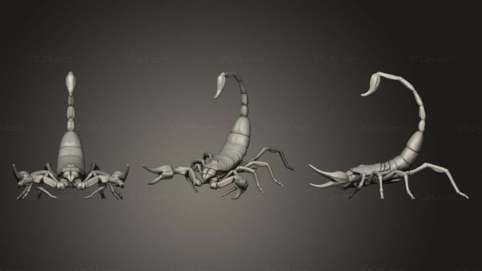 Статуэтки животных (Скорпион, STKJ_2443) 3D модель для ЧПУ станка